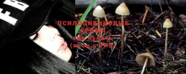 альфа пвп Армянск
