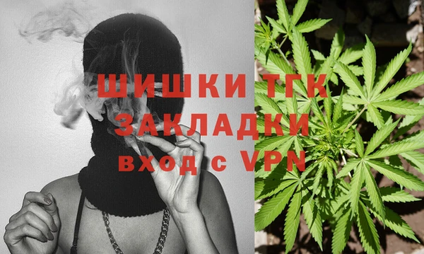 тгк Аркадак